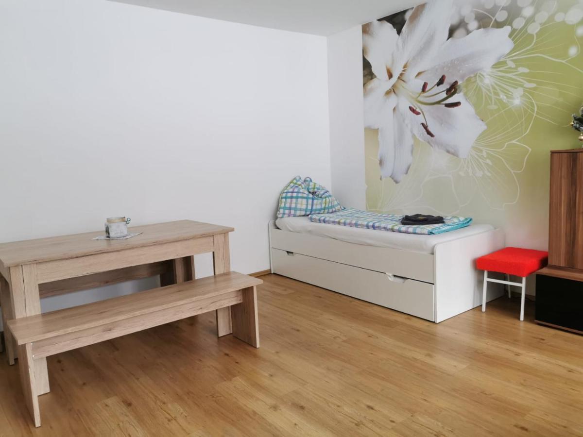 Apartment Fewo Irdning Pichlarn Aigen im Ennstal Eksteriør bilde