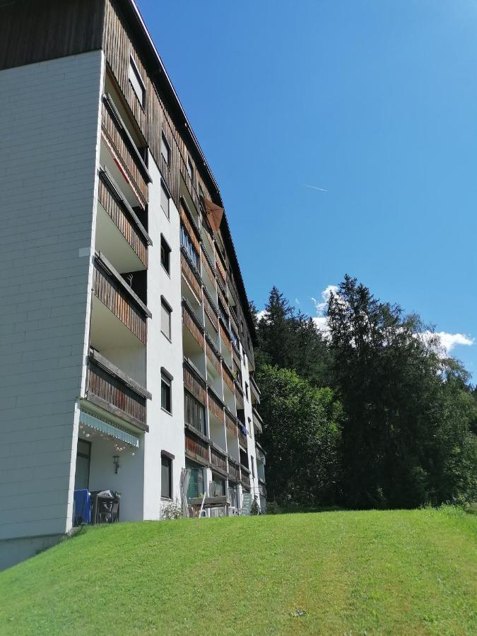 Apartment Fewo Irdning Pichlarn Aigen im Ennstal Eksteriør bilde