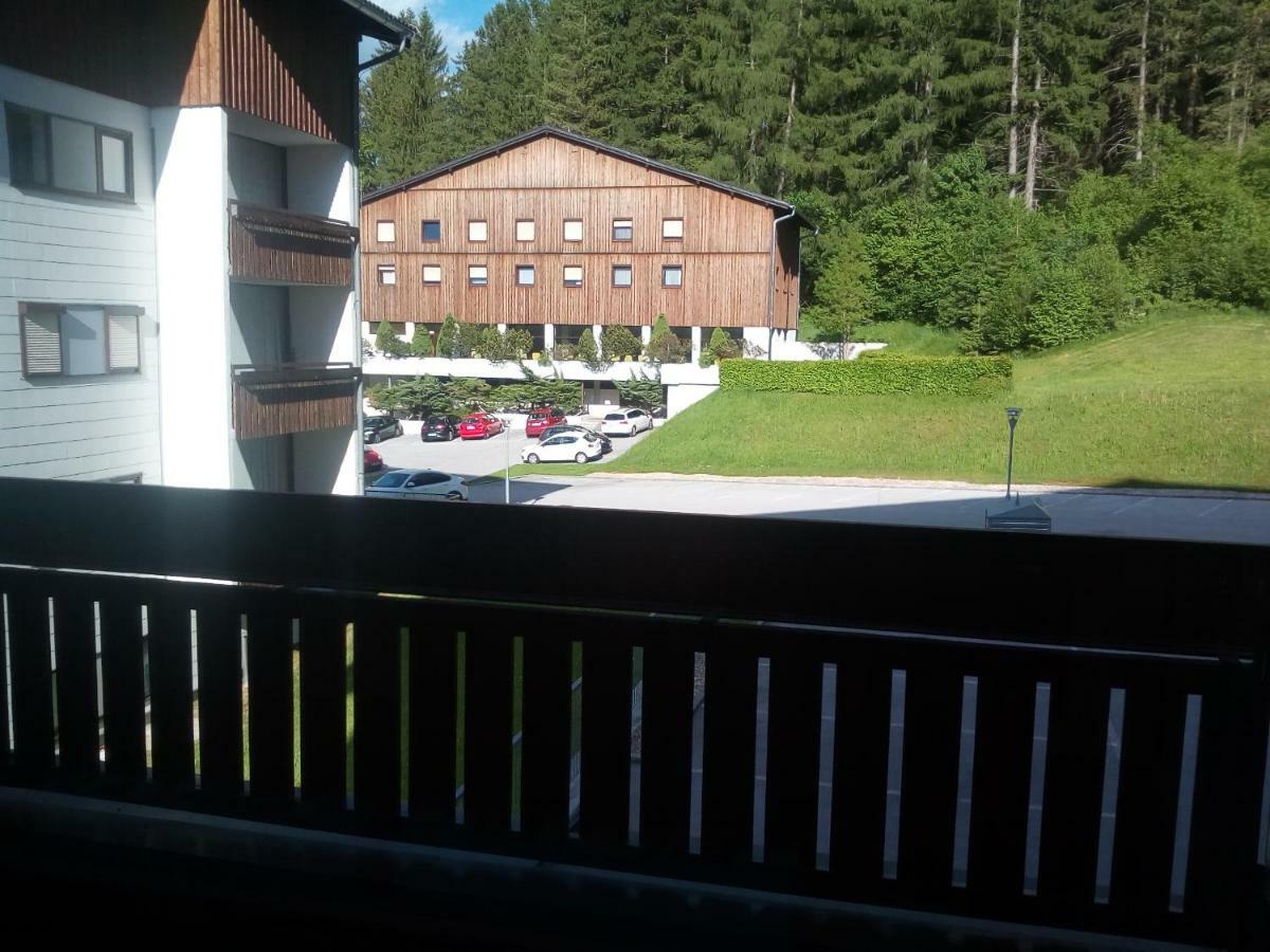 Apartment Fewo Irdning Pichlarn Aigen im Ennstal Eksteriør bilde